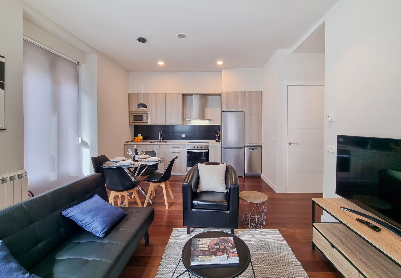 Apartment in San Sebastián - Chillida Larramendi